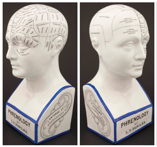 Sold for $2 by Lorenzo Fowler from his London office in the late 1800s, the head displays phrenological organs on the left side and collective groupings of traits on the right. 
